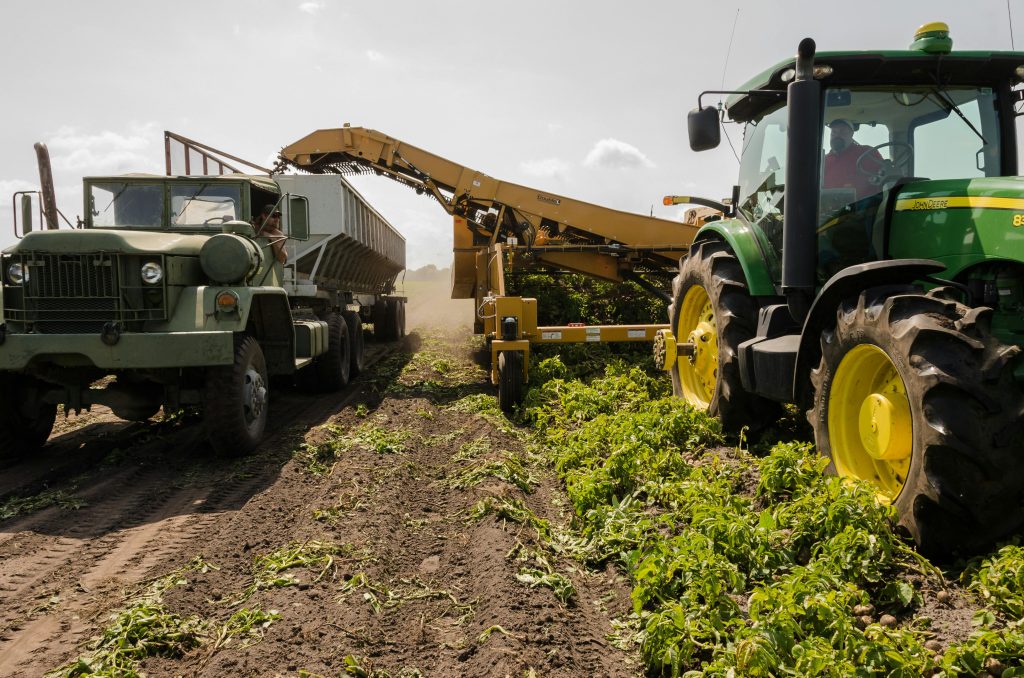 agricultural