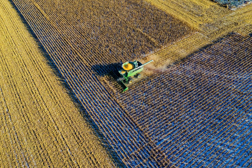 Monitor the distance between seeds and the angle at which seeds are sown